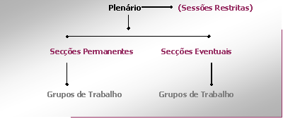 Organização