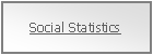 SS Social Statistics