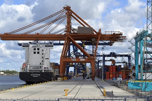 Exports down by 11.3% and imports up by 2.8%