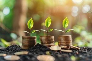 Productivity rises by 7.5% in 2024 despite economic growth