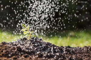 State of the environment