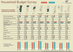 Household Budget Survey